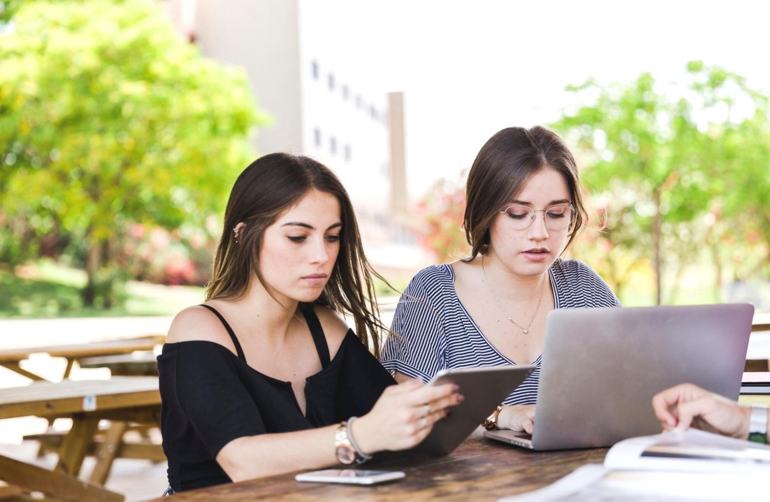 Análisis de oportunidades de enlaces en nichos específicos